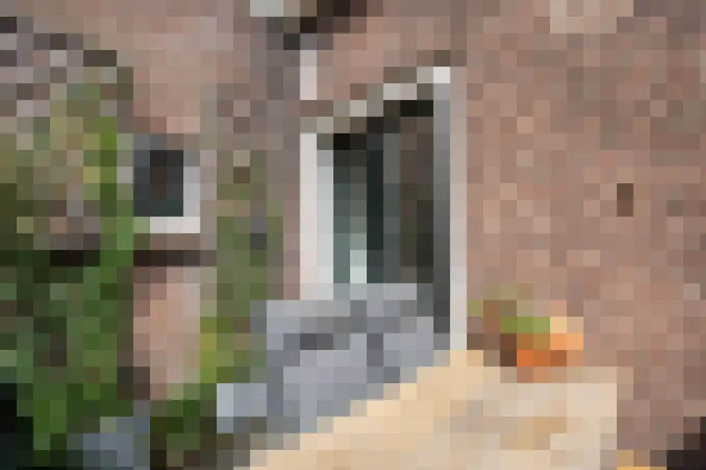 Poorterij 1 b Leerdam thumbnail 21