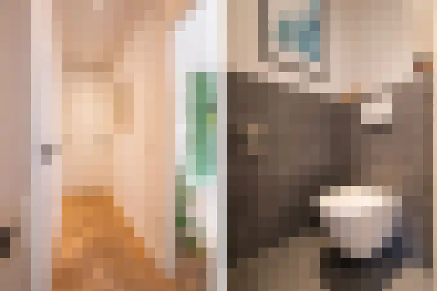 Poorterij 1 b Leerdam thumbnail 26