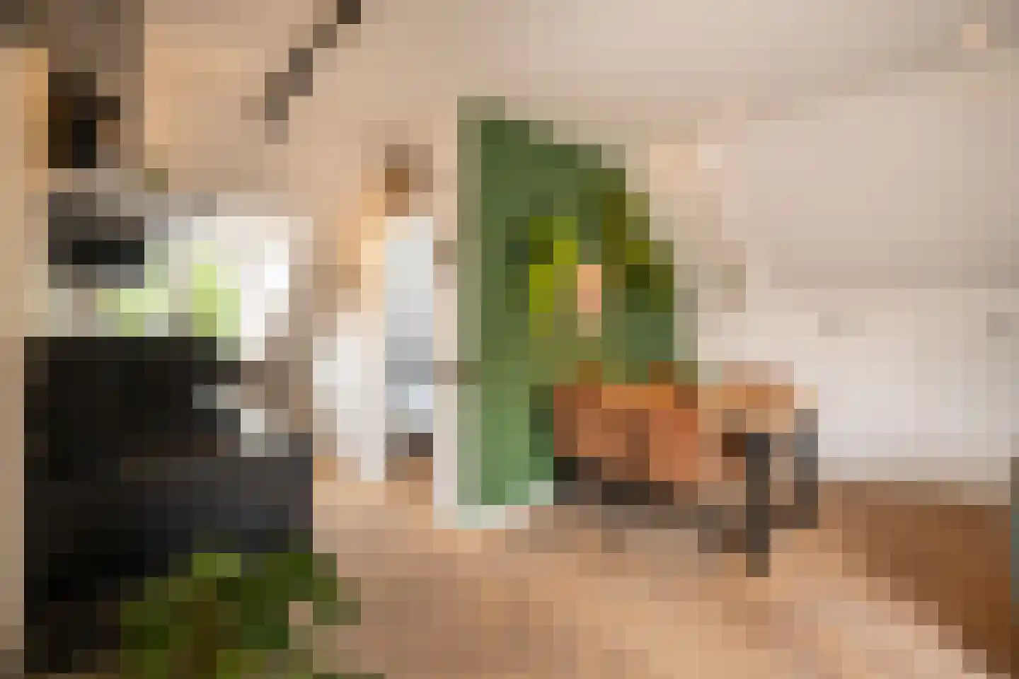 Poorterij 1 b Leerdam thumbnail 27
