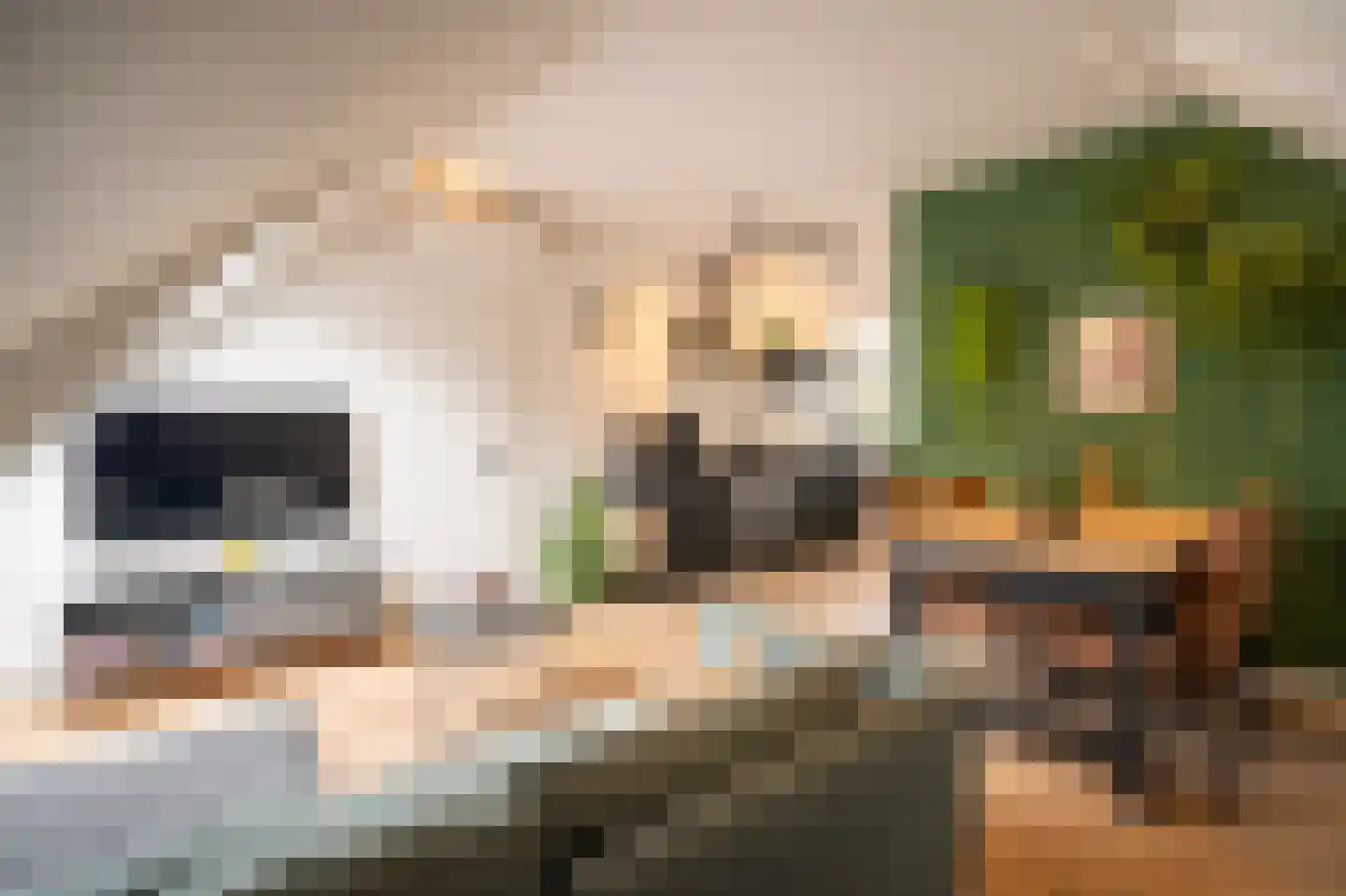 Poorterij 1 b Leerdam thumbnail 29
