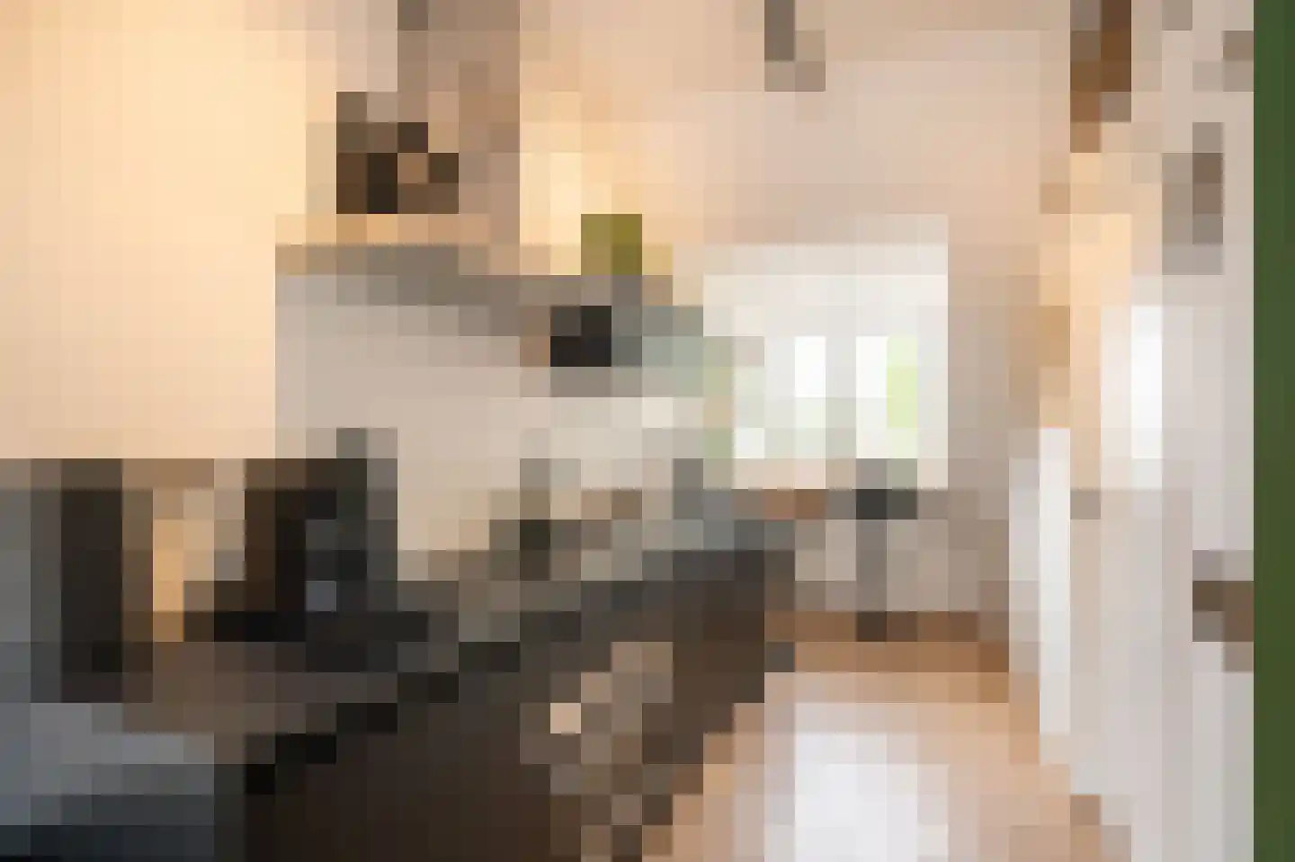 Poorterij 1 b Leerdam thumbnail 30