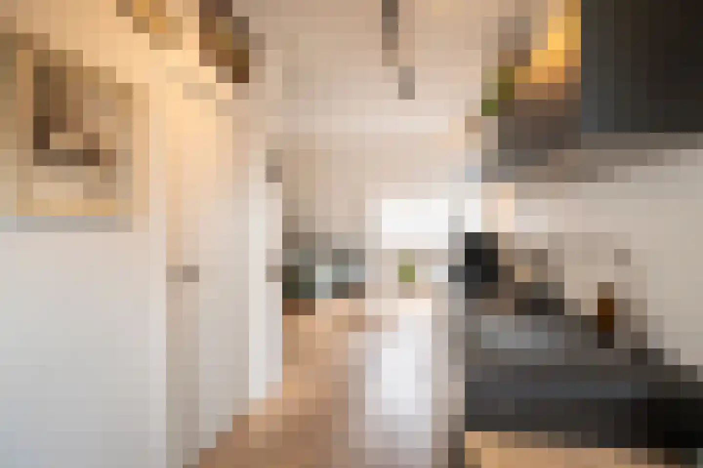 Poorterij 1 b Leerdam thumbnail 36