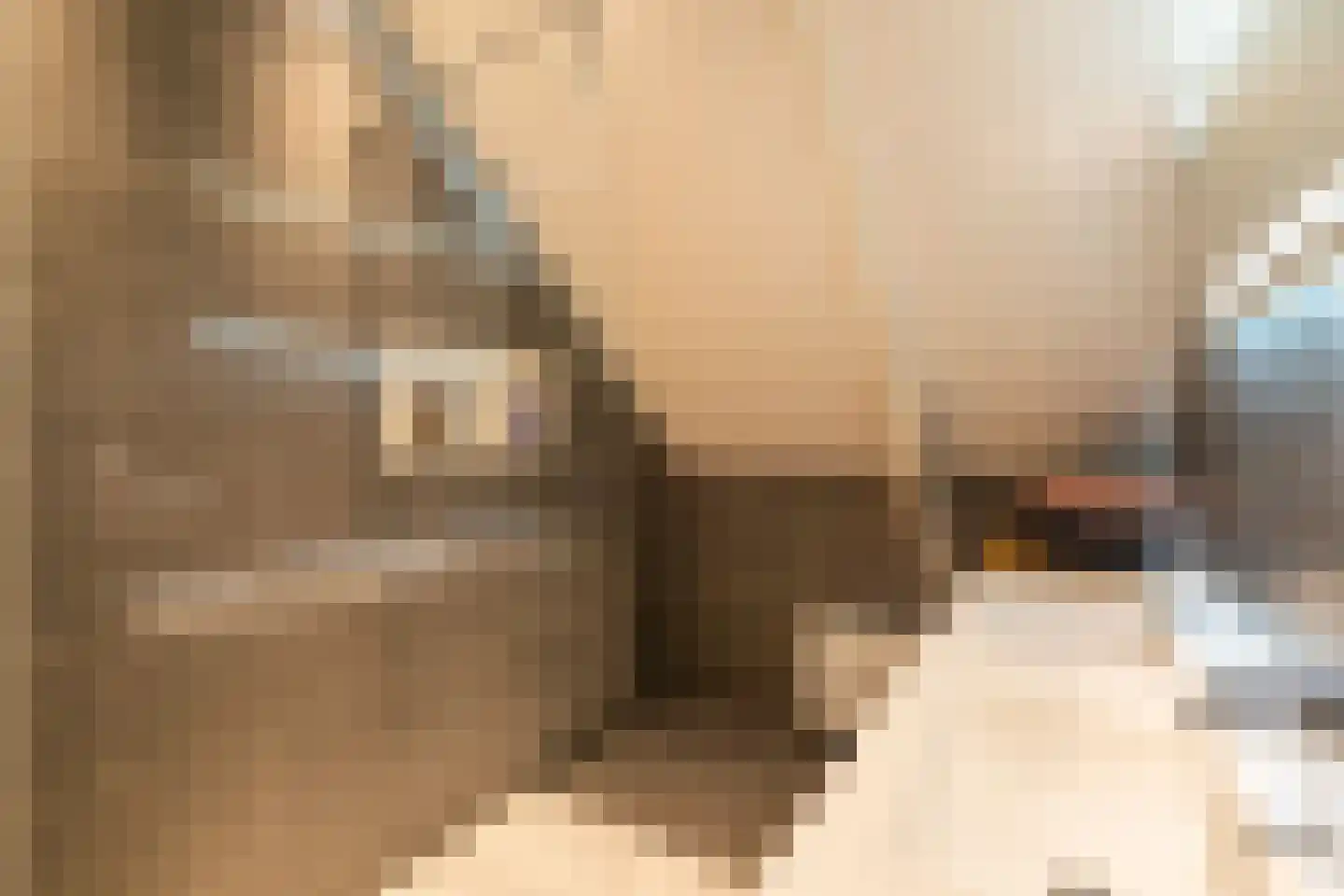 Poorterij 1 b Leerdam thumbnail 4