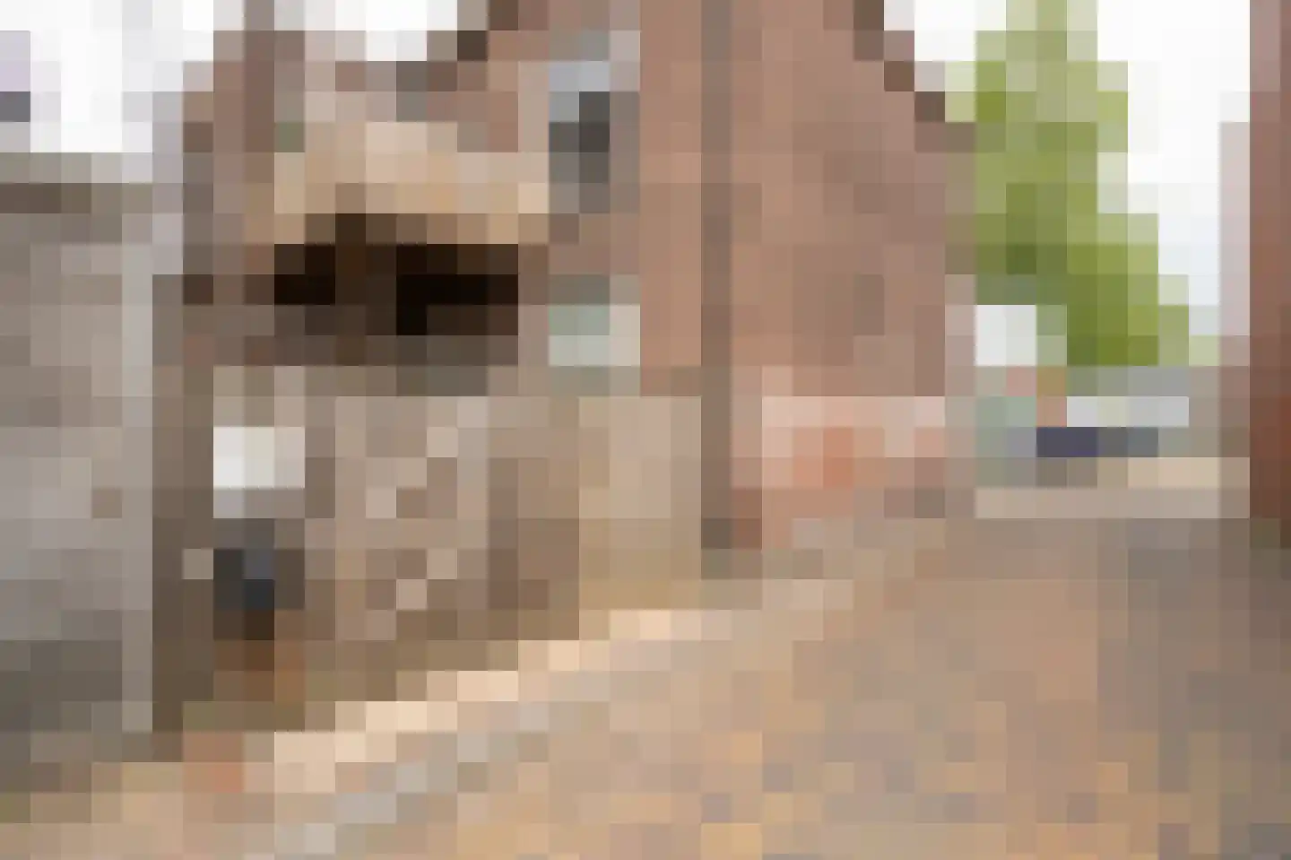 Poorterij 1 b Leerdam thumbnail 45