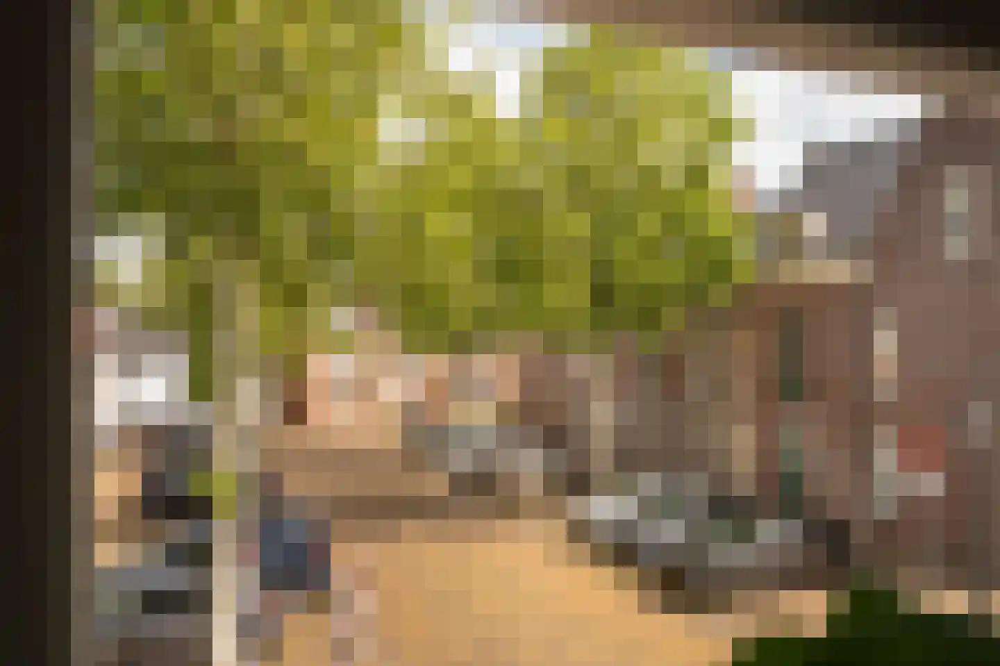 Poorterij 1 b Leerdam thumbnail 48