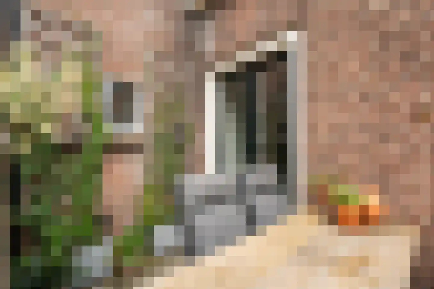 Poorterij 1 b Leerdam thumbnail 5
