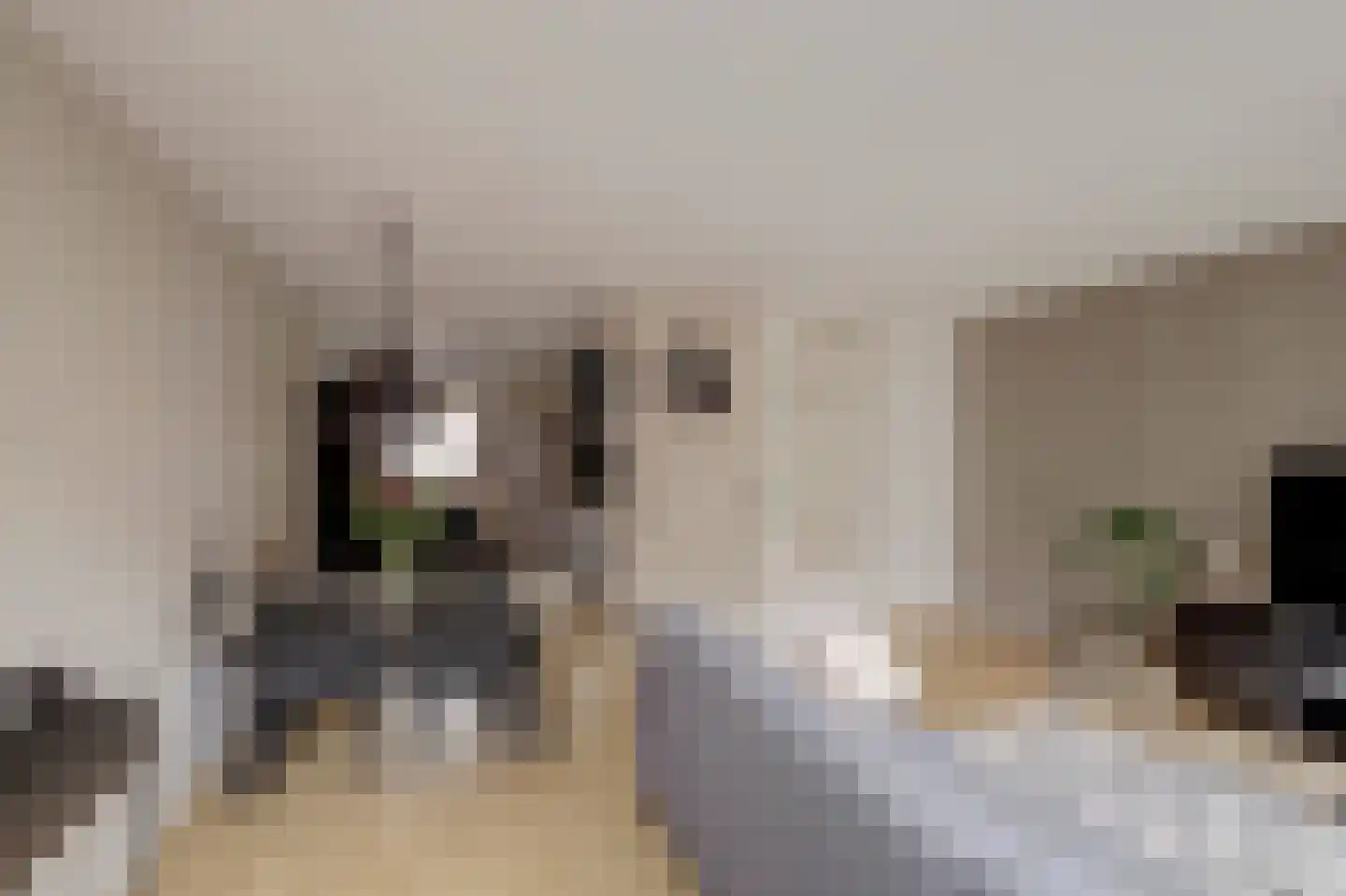 Poorterij 12 Leerdam thumbnail 8