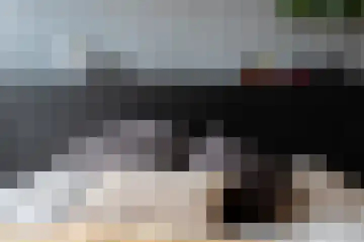 Poorterij 2 Leerdam thumbnail 13