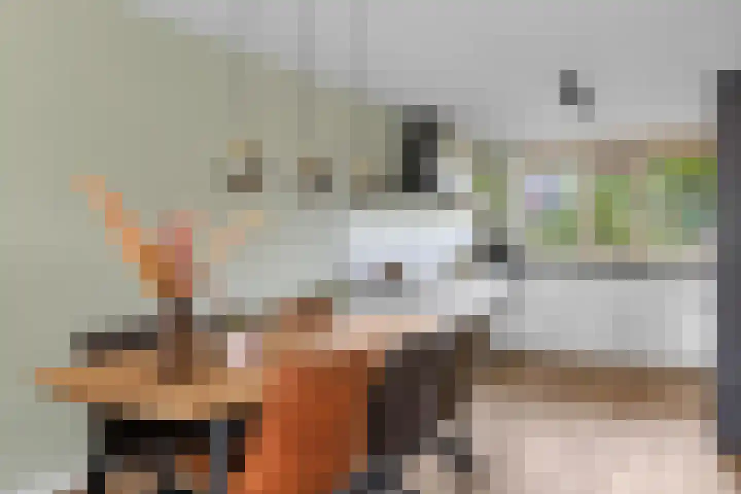 Poortersdreef 111 Amersfoort thumbnail 22