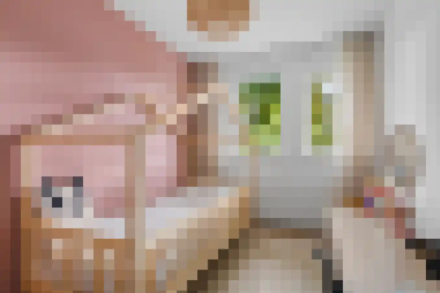 Poortersdreef 111 Amersfoort thumbnail 32