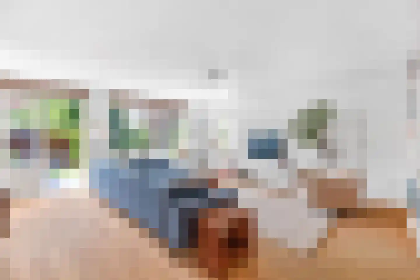 Poortersdreef 14 Amersfoort thumbnail 12