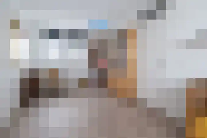 Poortersdreef 17 Amersfoort thumbnail 25