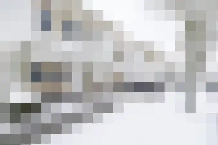 Poortersdreef 17 Amersfoort thumbnail 47