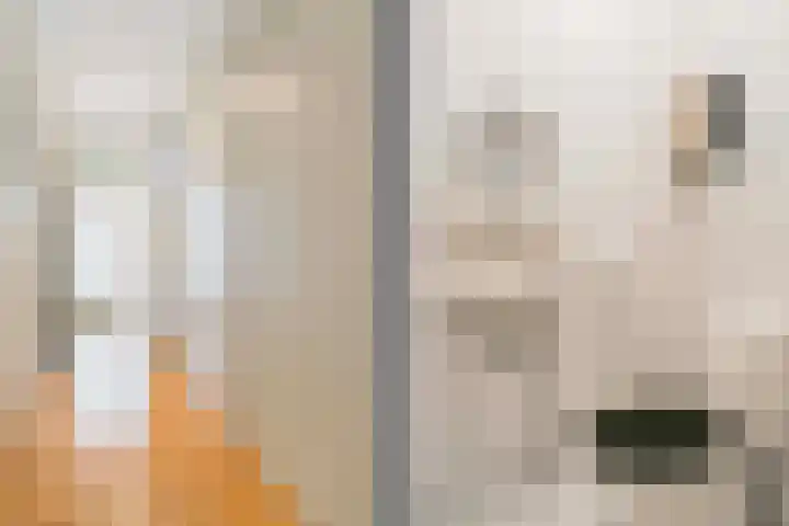 Poortersdreef 71 Amersfoort thumbnail 12