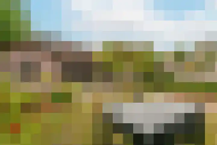 Poortersdreef 71 Amersfoort thumbnail 24