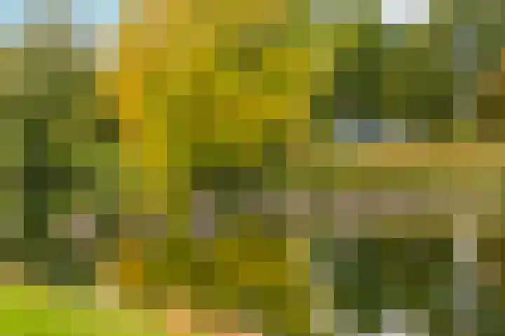 Poortersdreef 71 Amersfoort thumbnail 28