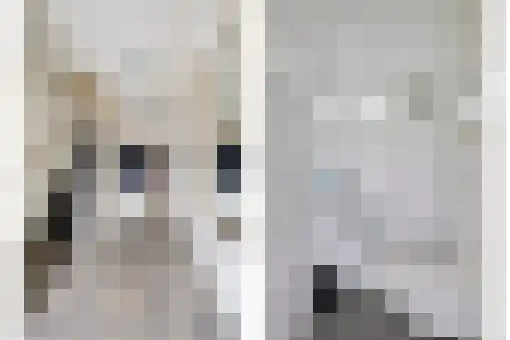 Poortersdreef 8 Amersfoort thumbnail 11