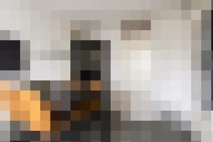 Poortersdreef 8 Amersfoort thumbnail 23
