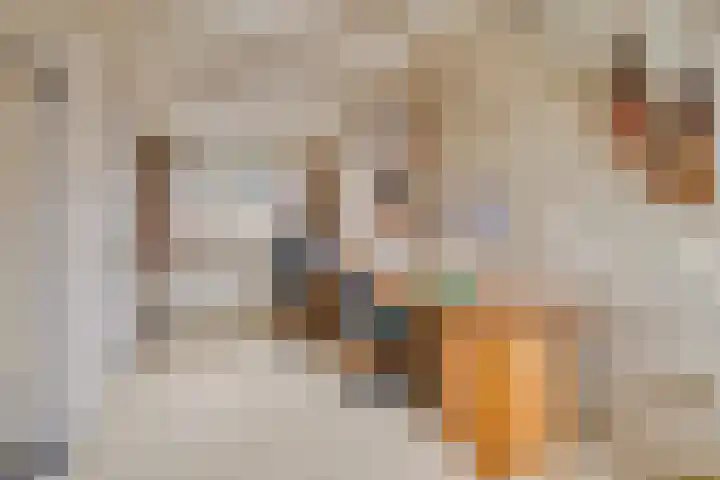 Poortersdreef 8 Amersfoort thumbnail 4