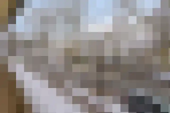 Poortersdreef 8 Amersfoort thumbnail 9