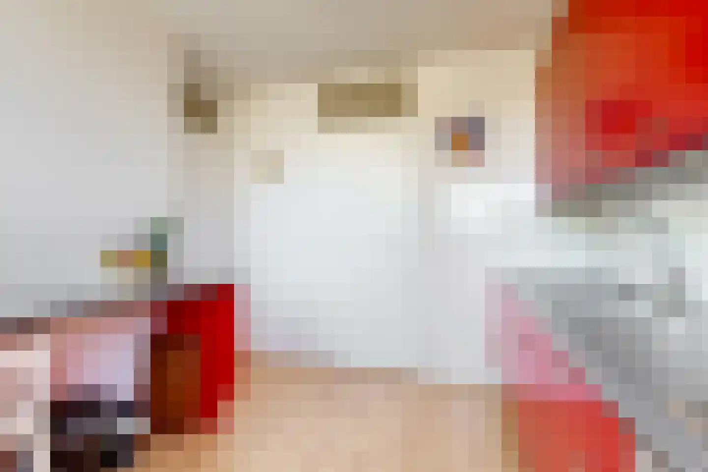 Poortershof 12 Leiderdorp thumbnail 11
