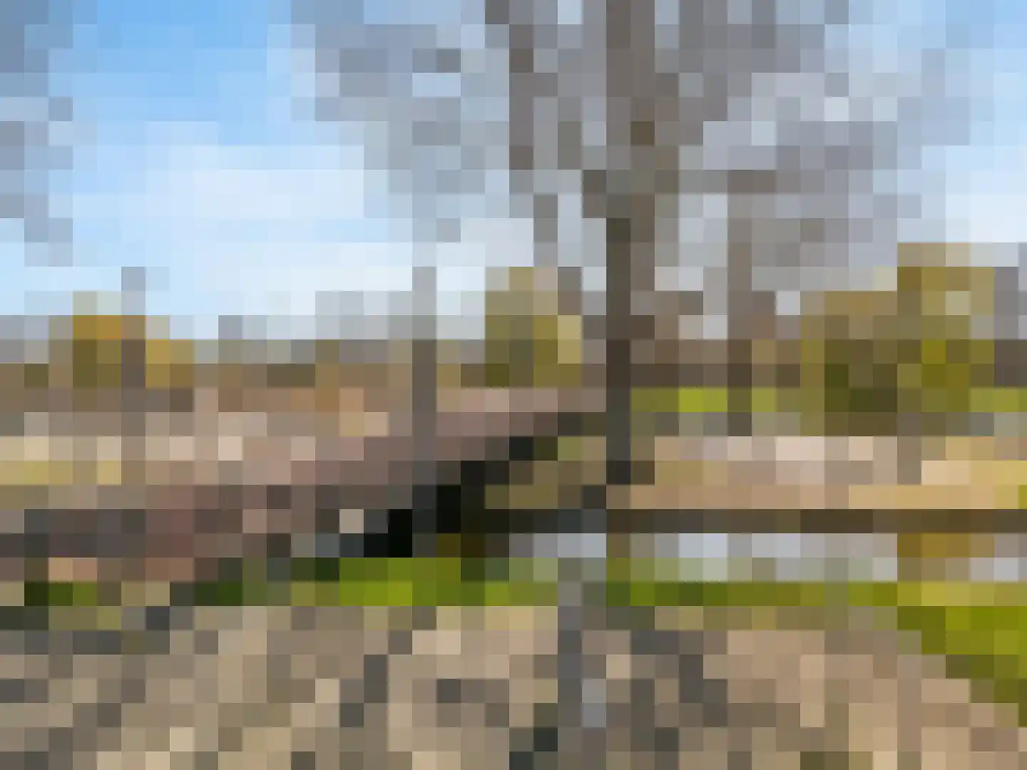 Poortershof 12 Leiderdorp thumbnail 25