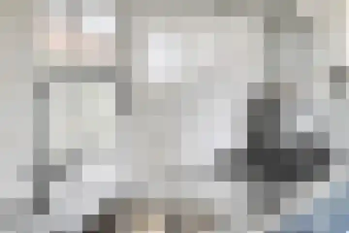 Poorterslaan 28 Hulst thumbnail 10