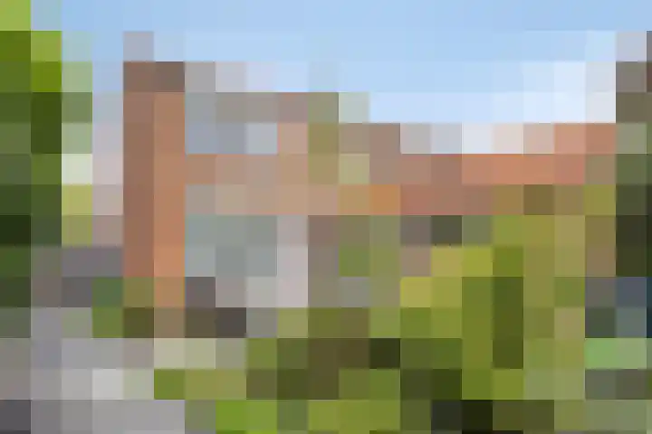 Poorterslaan 28 Hulst thumbnail 23