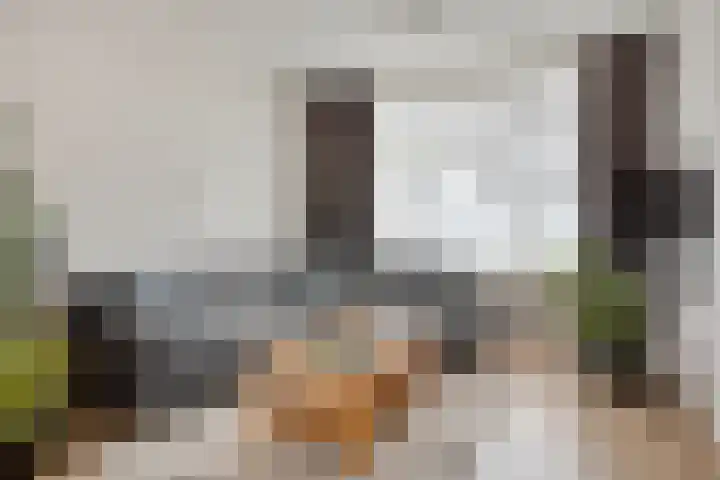 Poorterslaan 28 Hulst thumbnail 4