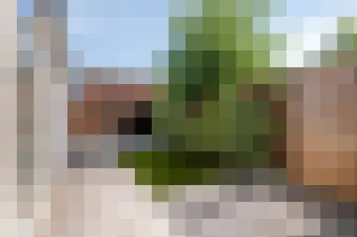 Poorterslaan 35 Hulst thumbnail 20