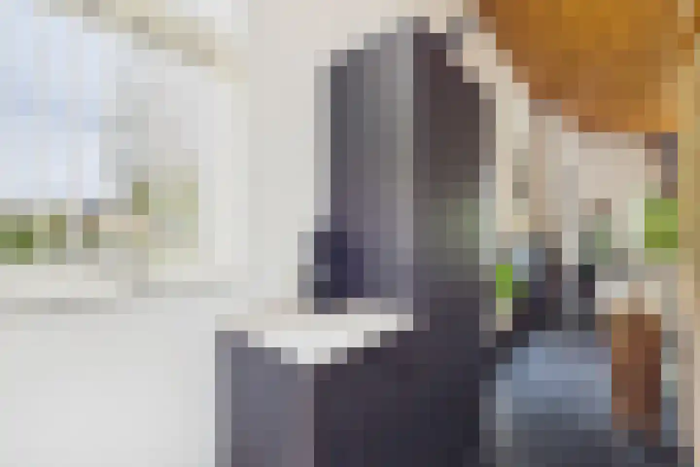 Poorterslaan 66 Hulst thumbnail 14