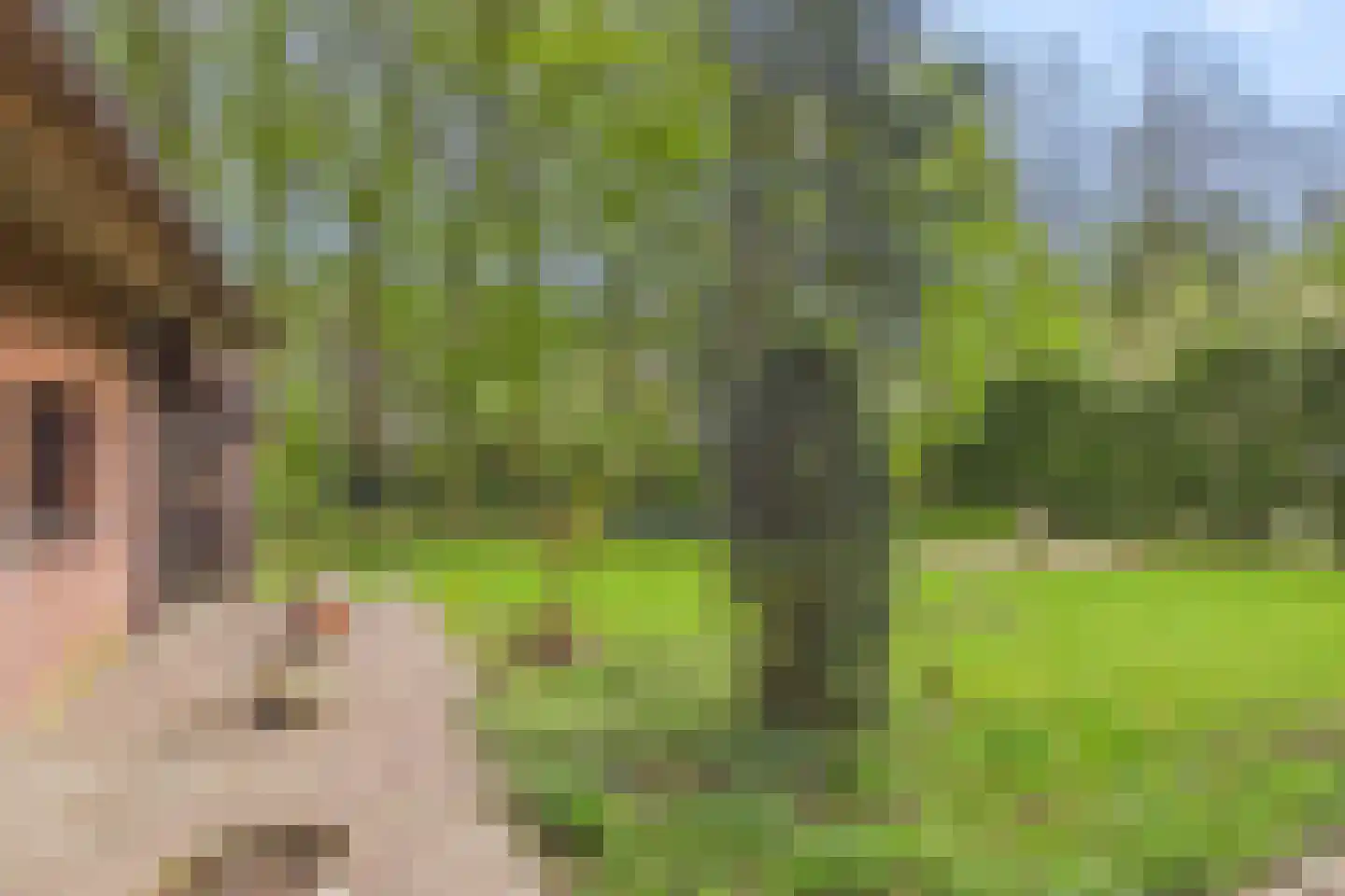 Poorterslaan 66 Hulst thumbnail 23