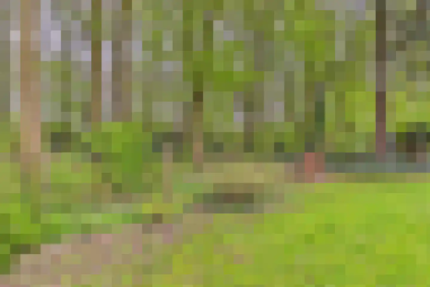 Poorterslaan 66 Hulst thumbnail 26