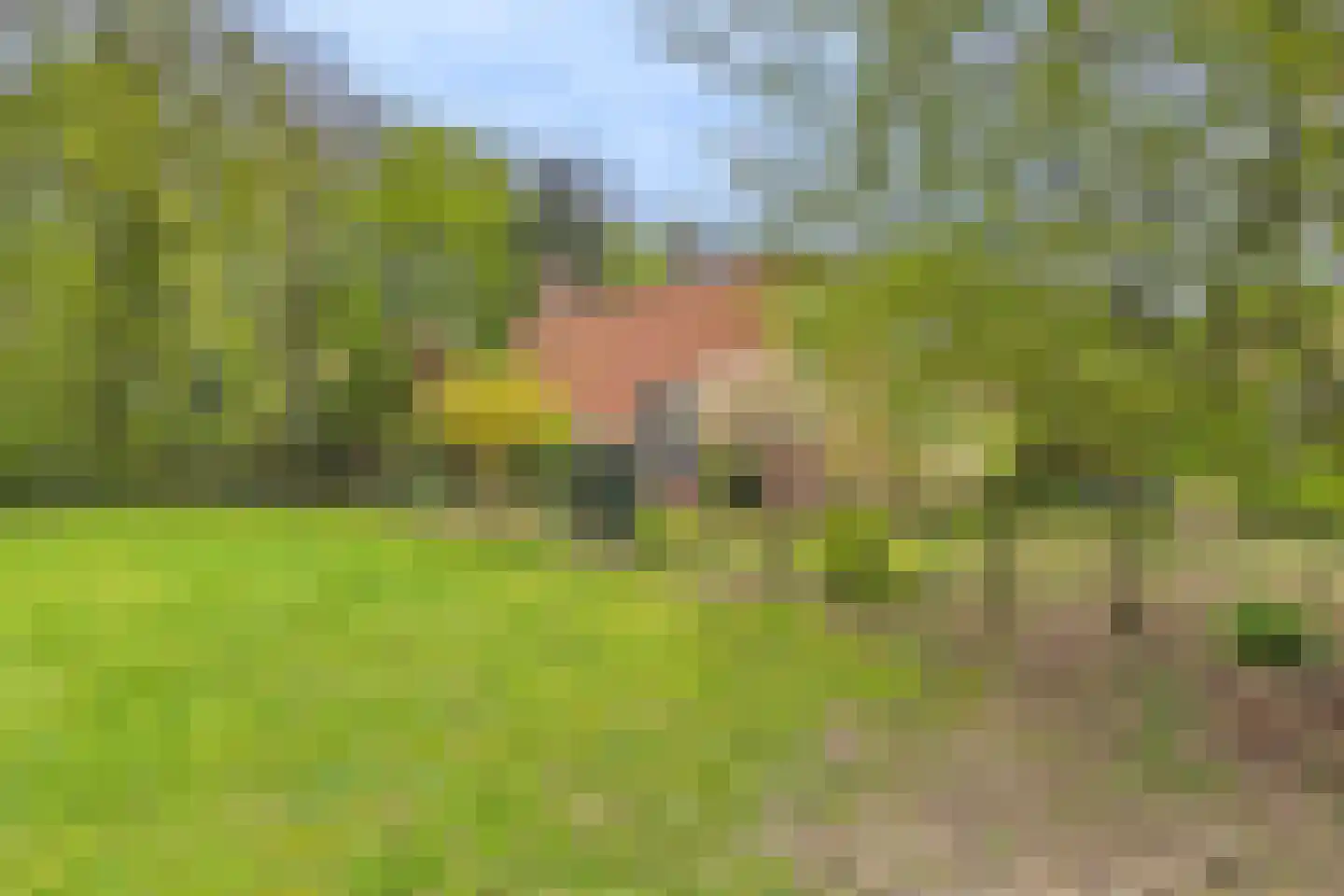 Poorterslaan 66 Hulst thumbnail 27