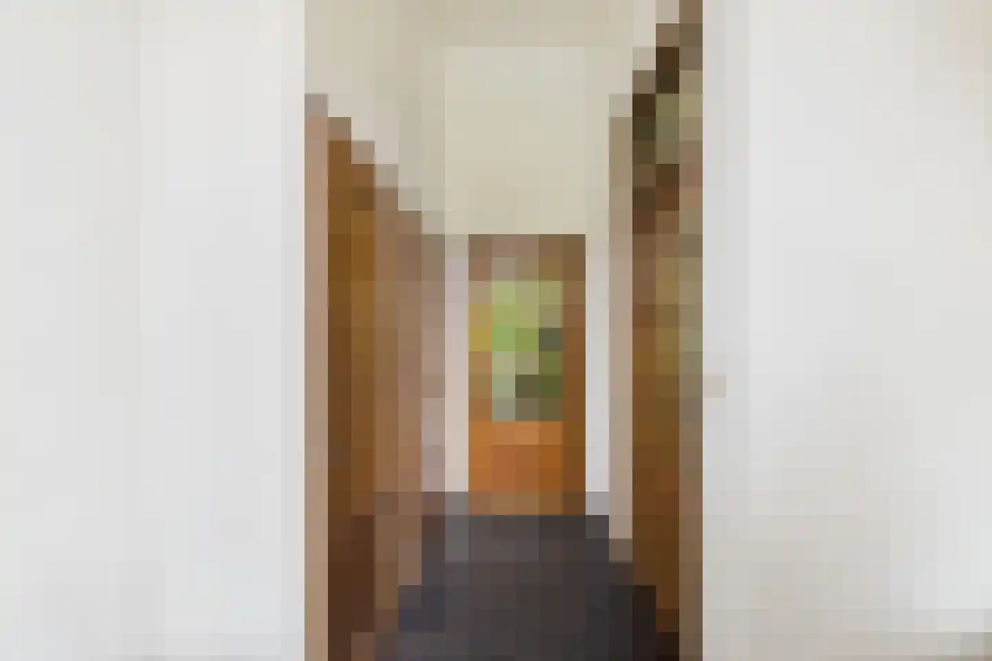 Poorterslaan 66 Hulst thumbnail 6