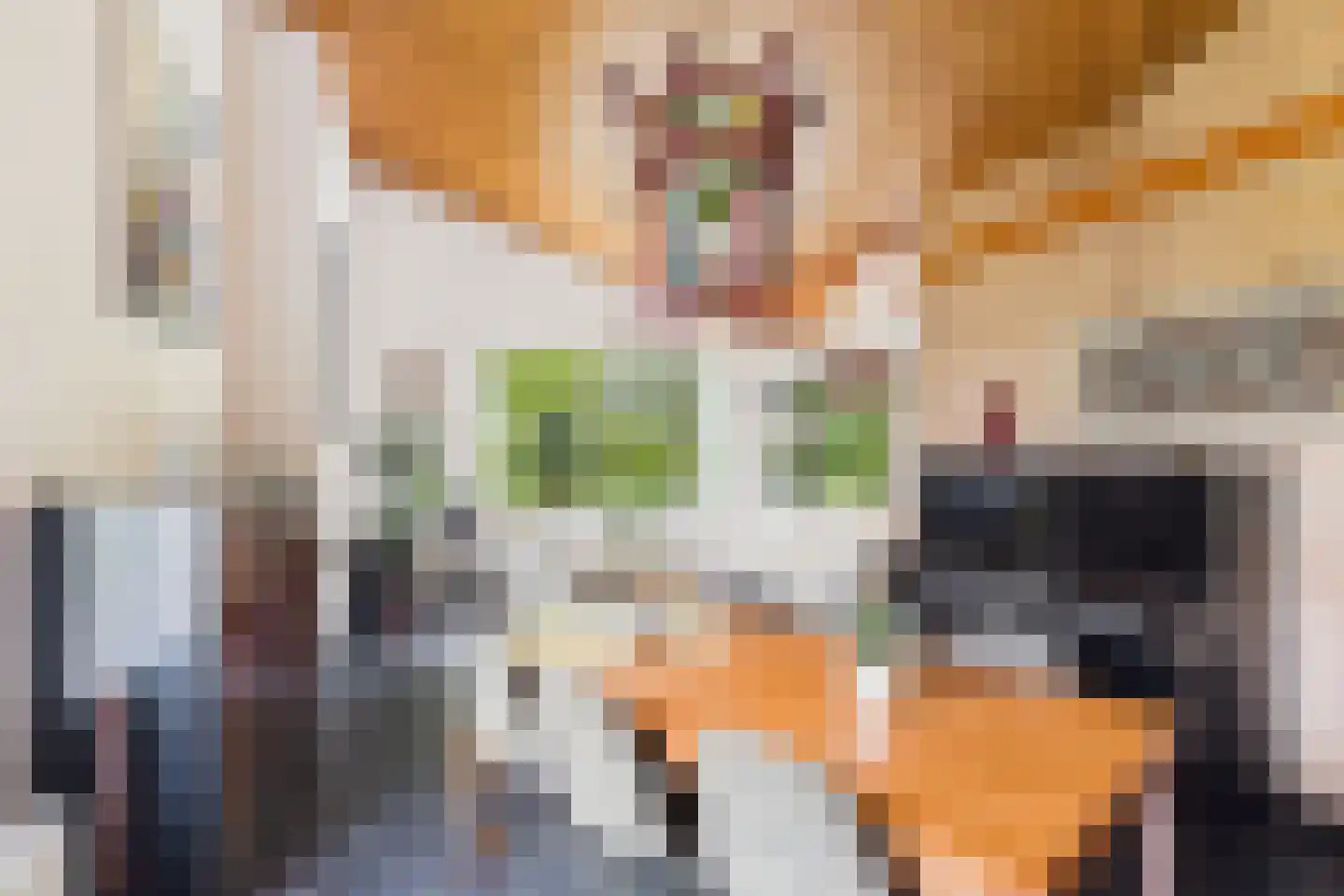 Poorterslaan 66 Hulst thumbnail 9