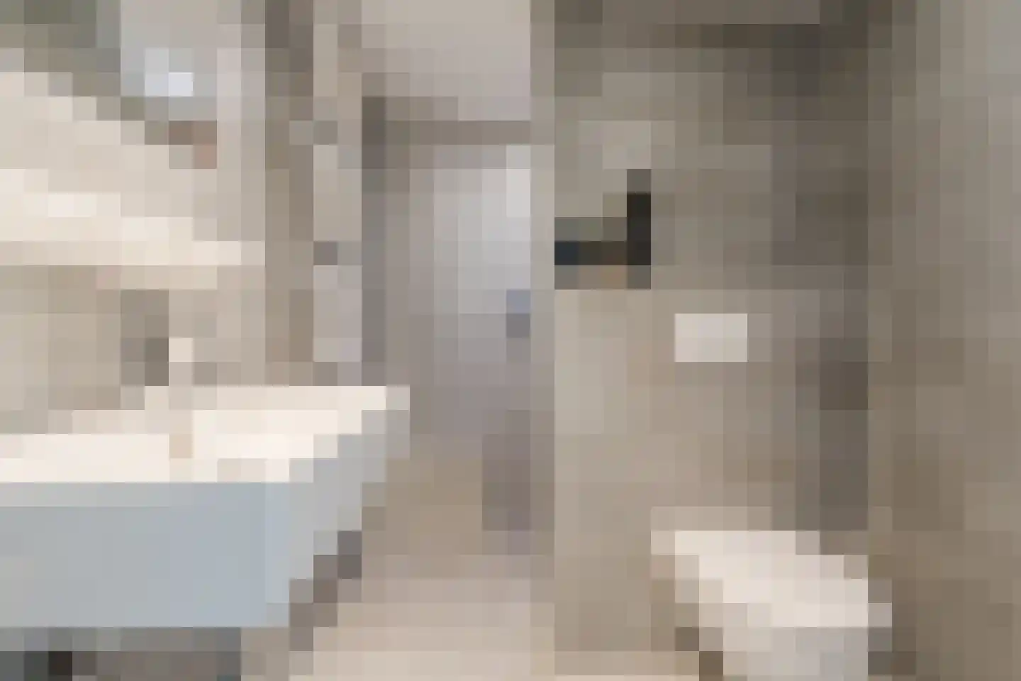 Poorterstraat 15 Geldrop thumbnail 32