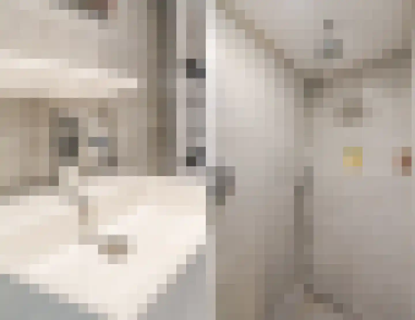 Poorterstraat 15 Geldrop thumbnail 33