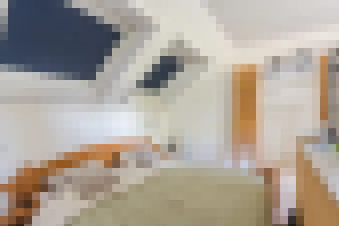 Poorterstraat 15 Geldrop thumbnail 36
