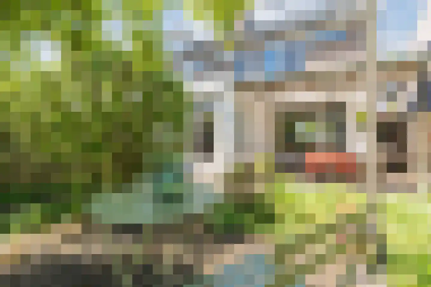 Poorterstraat 15 Geldrop thumbnail 4