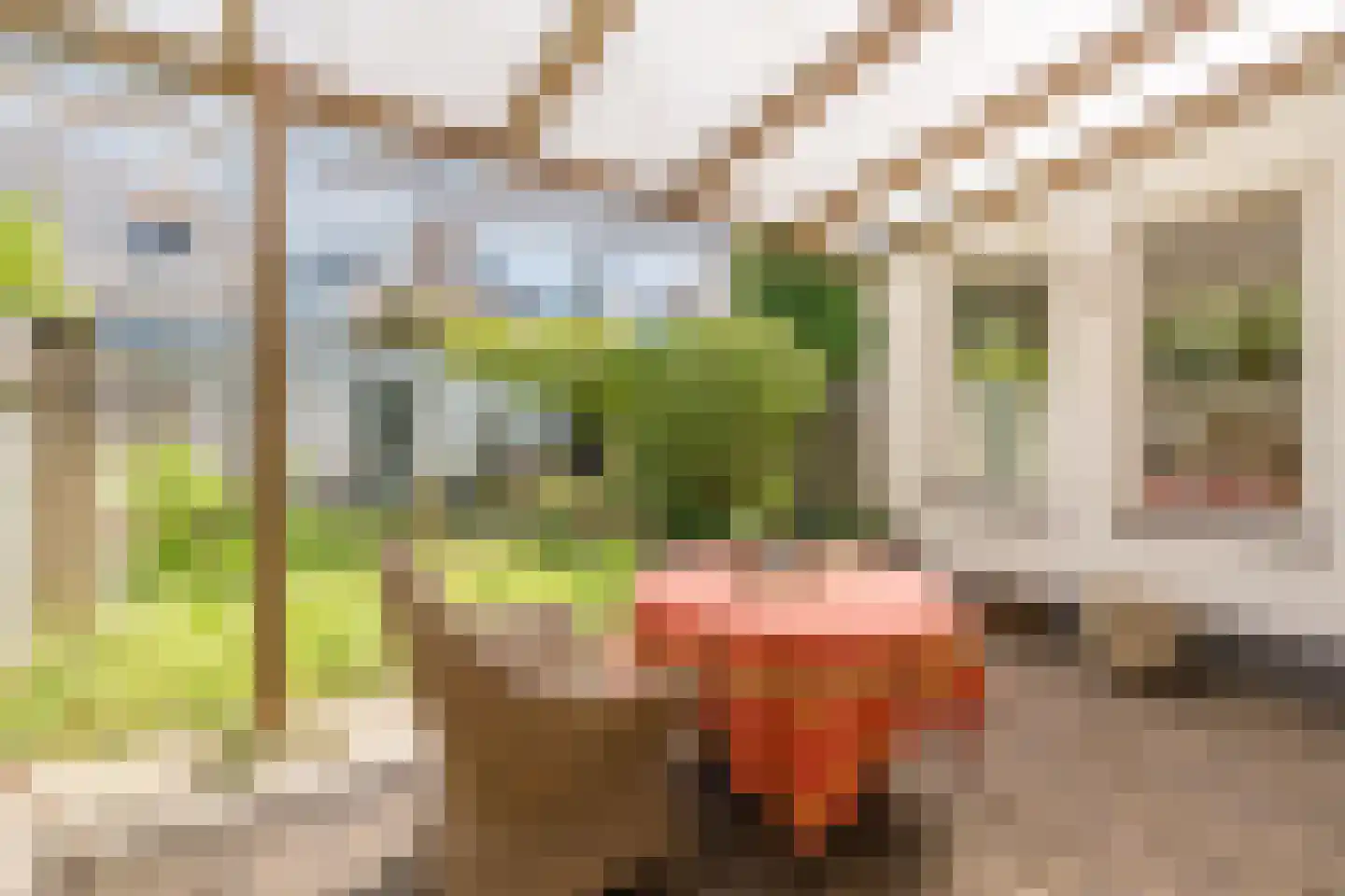 Poorterstraat 15 Geldrop thumbnail 40