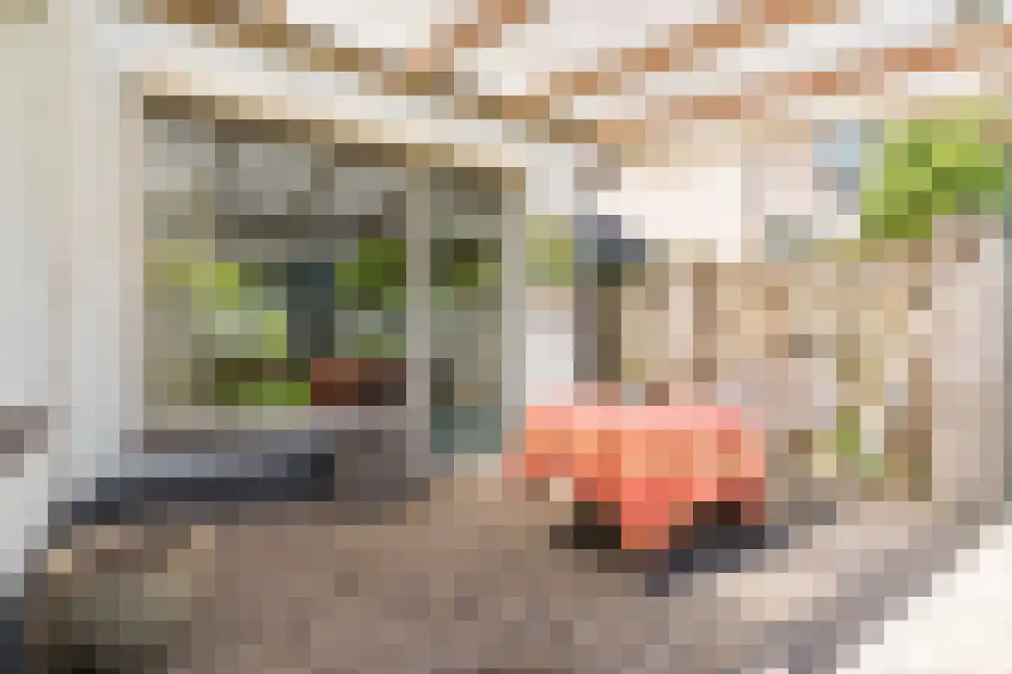 Poorterstraat 15 Geldrop thumbnail 44