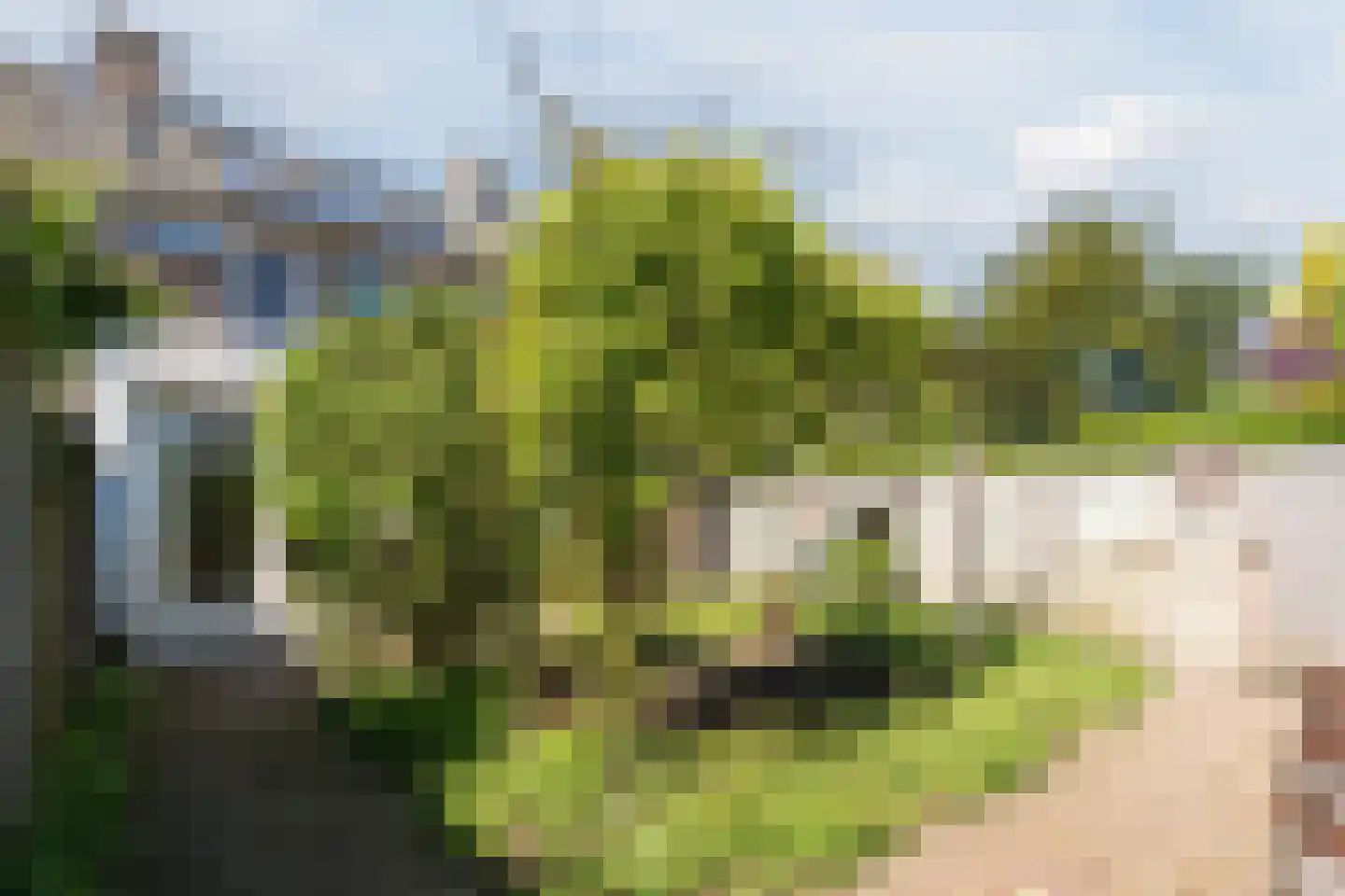Poorterstraat 15 Geldrop thumbnail 45