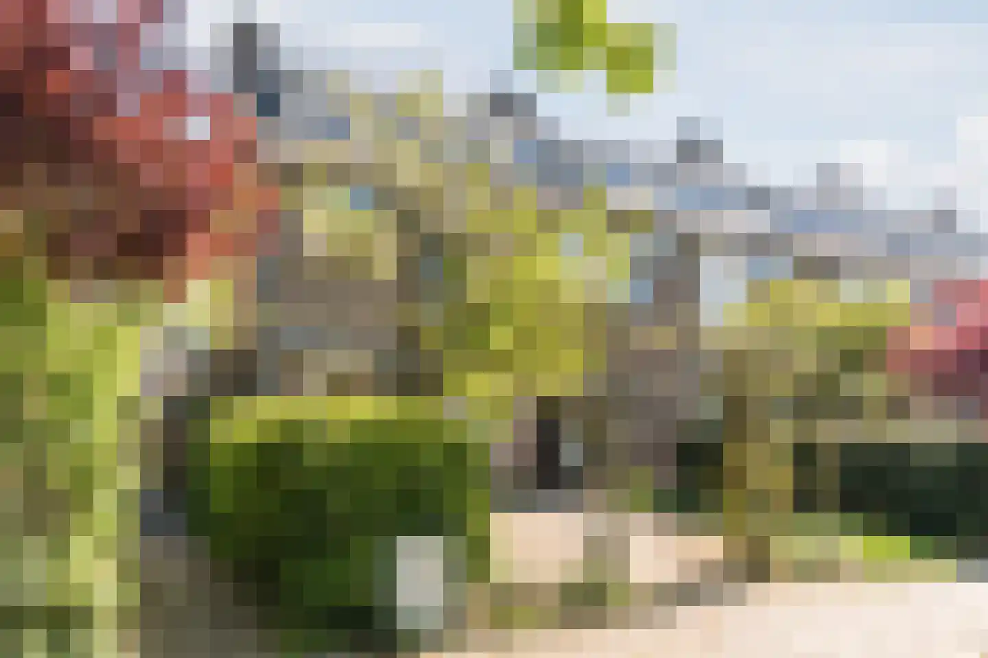 Poorterstraat 15 Geldrop thumbnail 5