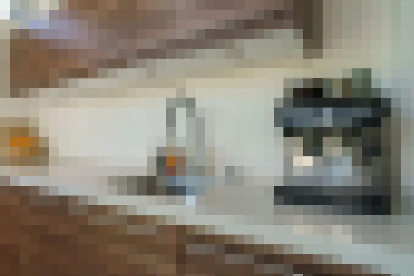 Poorterstraat 19 Geldrop thumbnail 17