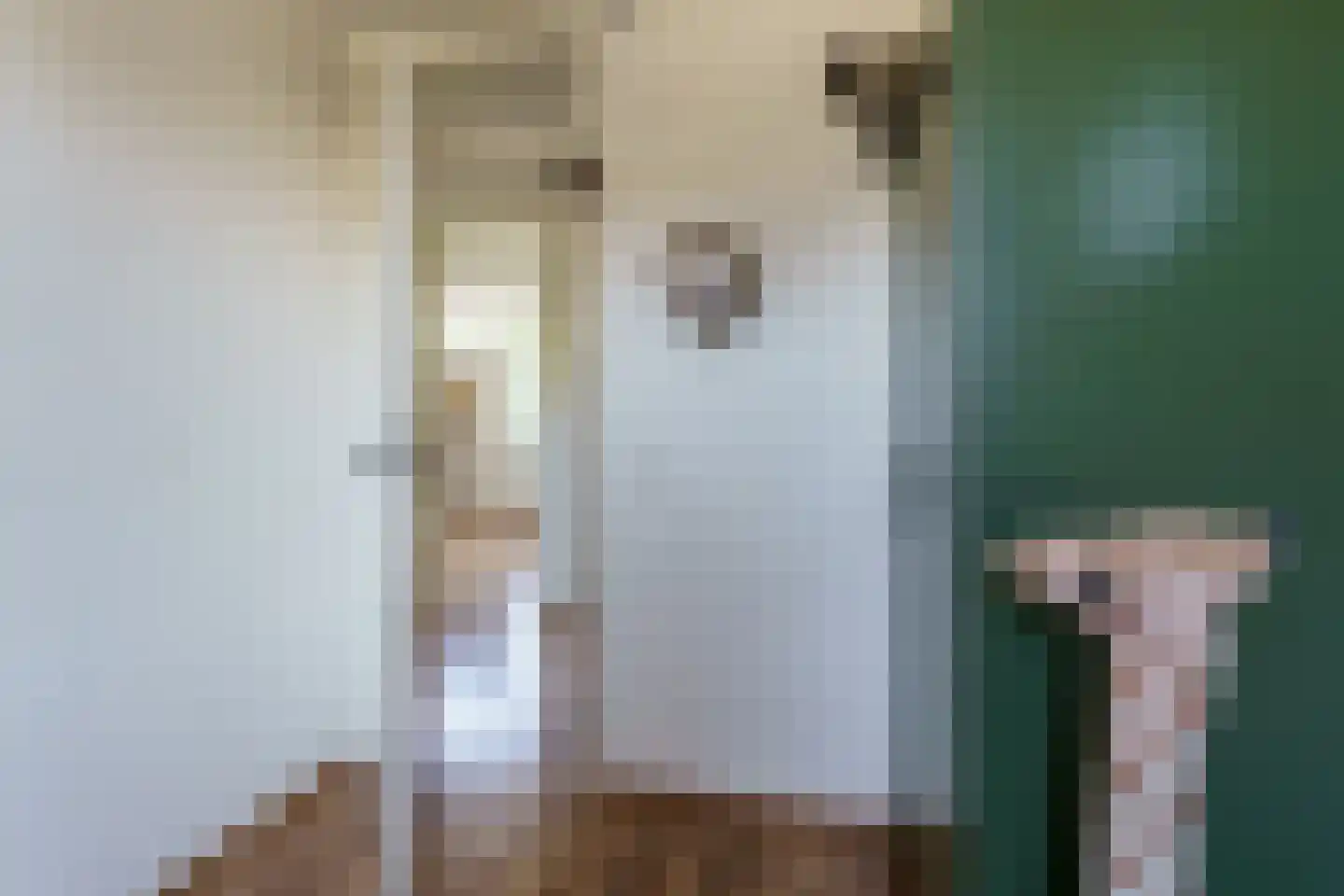 Poorterstraat 19 Geldrop thumbnail 28