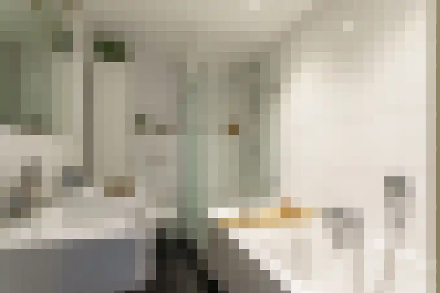 Poorterstraat 19 Geldrop thumbnail 31
