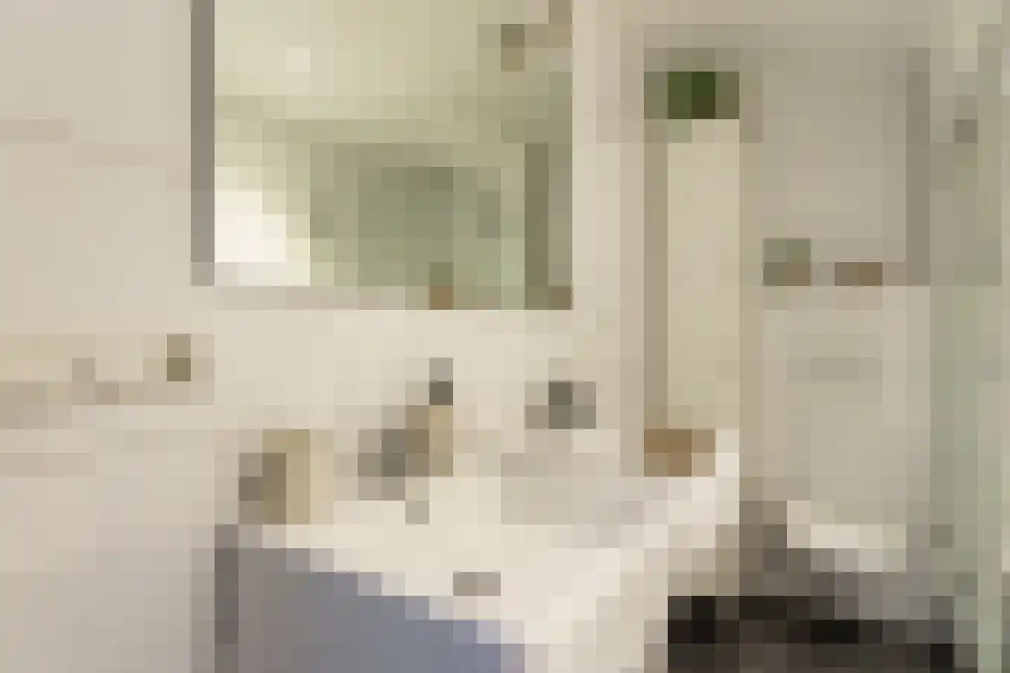 Poorterstraat 19 Geldrop thumbnail 32
