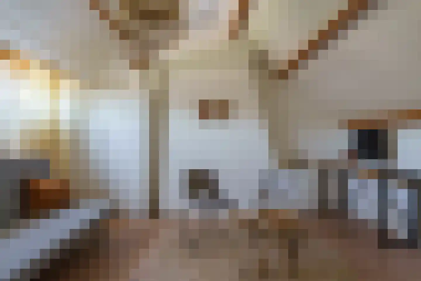 Poorterstraat 19 Geldrop thumbnail 37