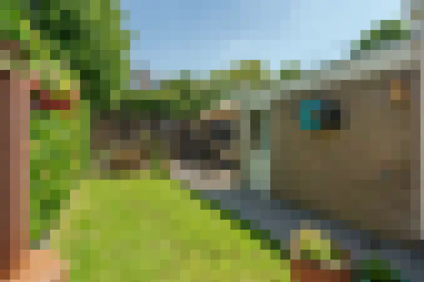 Poorterstraat 19 Geldrop thumbnail 42